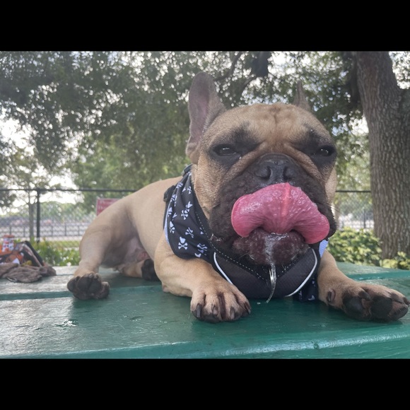 Meet your Posher, Jessica - Picture 5 of 14